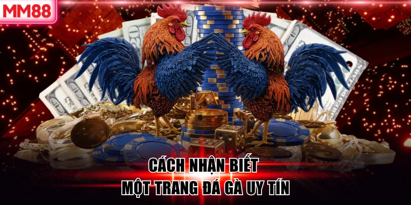 Top 6 Trang Đá Gà Uy Tín 2026 – MM88 Liệt Kê Trang An Toàn 6 Cách nhận biết một trang đá gà uy tín